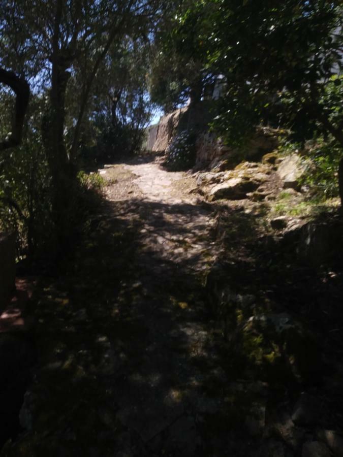 Ca Da Marta Q4526 Villa Carloforte  Buitenkant foto