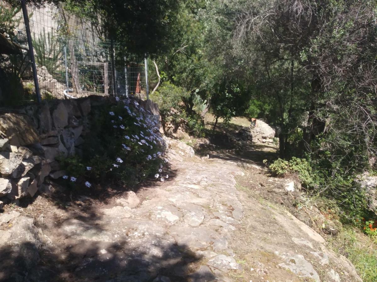 Ca Da Marta Q4526 Villa Carloforte  Buitenkant foto
