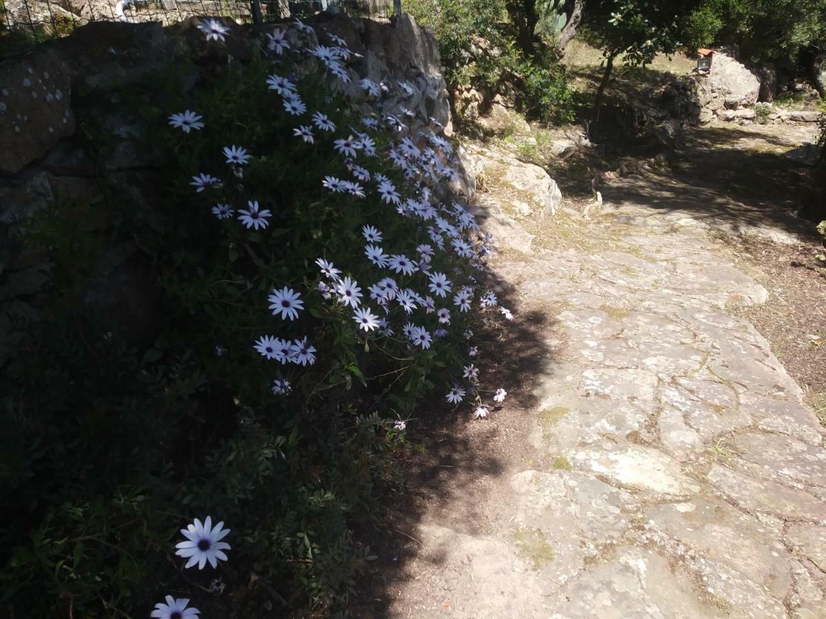 Ca Da Marta Q4526 Villa Carloforte  Buitenkant foto